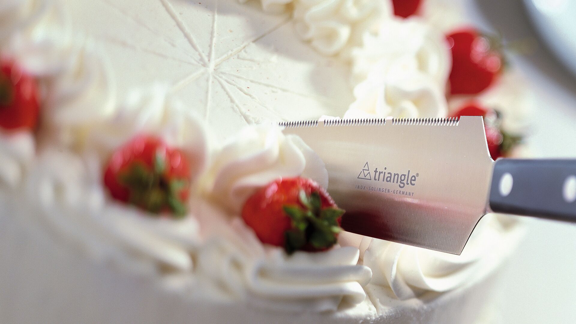triangle pie knife